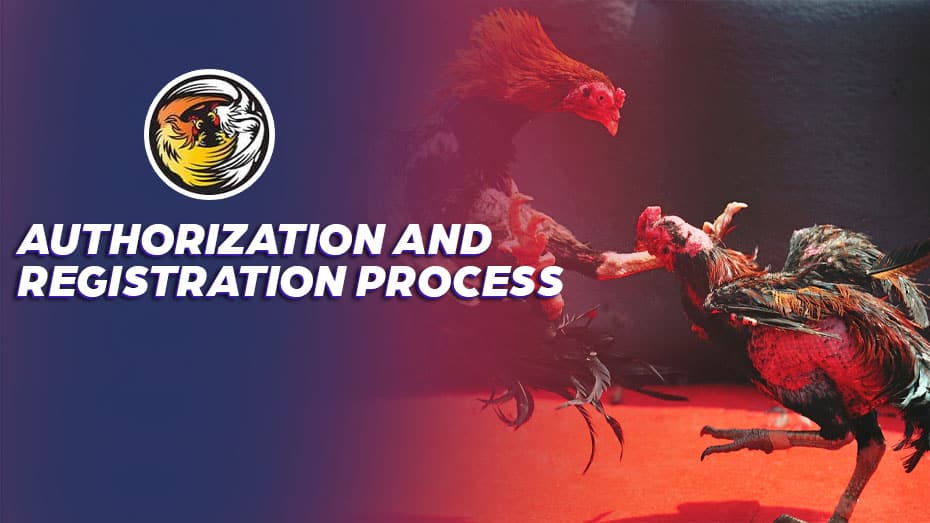 Authorization and Registration Process